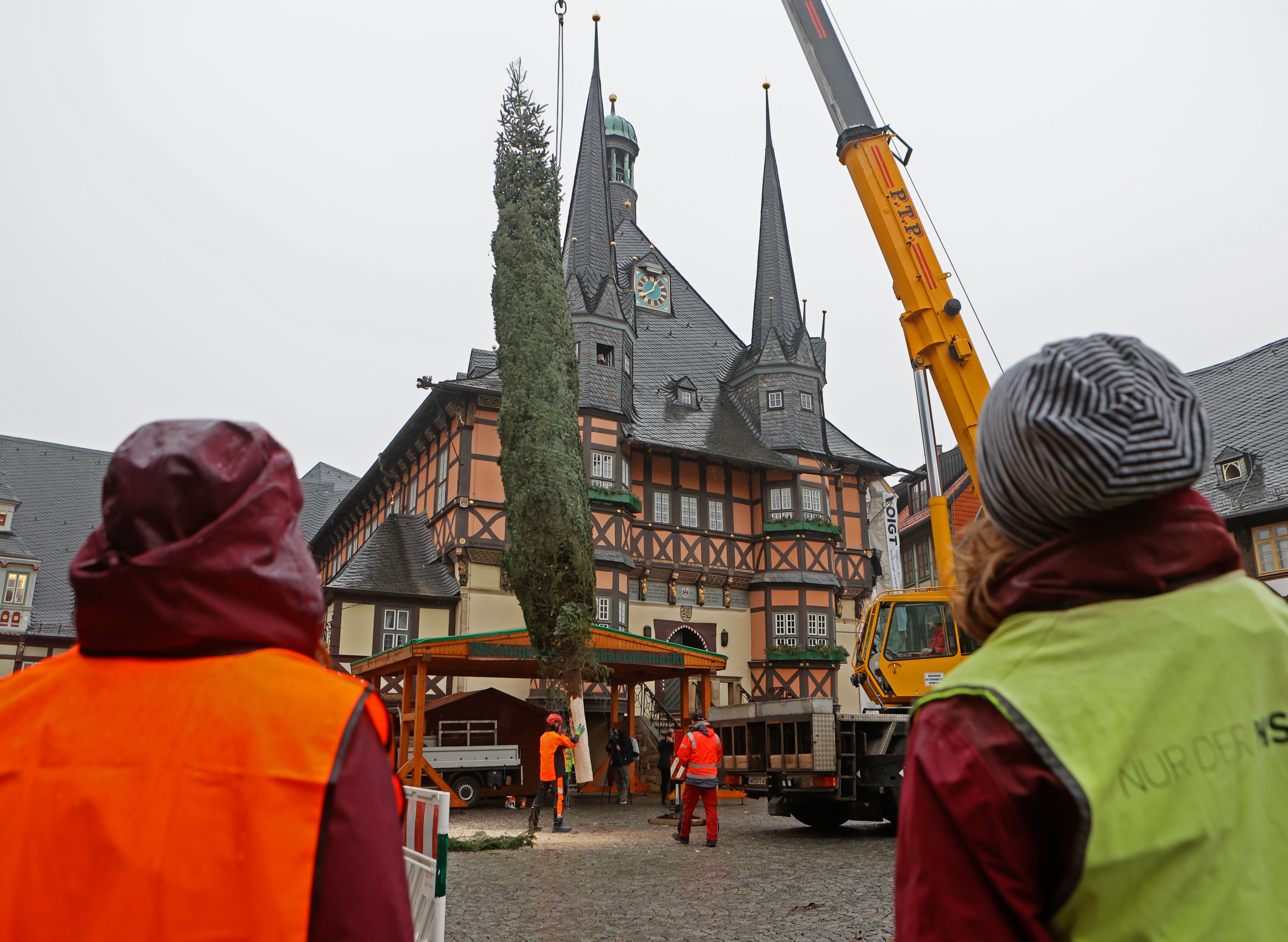 Der Weihnachtsbaum ist angekommen